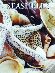 Capa do artigo Seashells