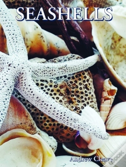 Capa do artigo Seashells