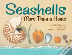 Capa do artigo Seashells