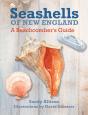 Seashells Of New England - Preview
