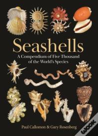 Seashells