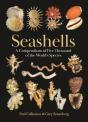 Seashells - Preview
