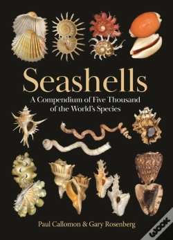 Capa do artigo Seashells