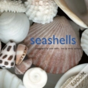 Capa do artigo Seashells