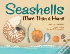 Seashells