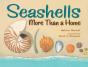 Seashells - Preview