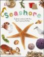 Seashore - Preview