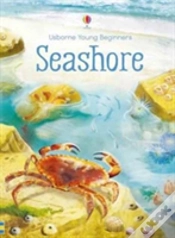 Capa do artigo Seashore