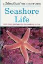Seashore Life - Preview