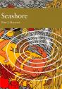 Seashore - Preview