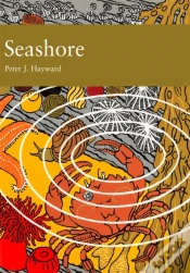 Capa do artigo Seashore