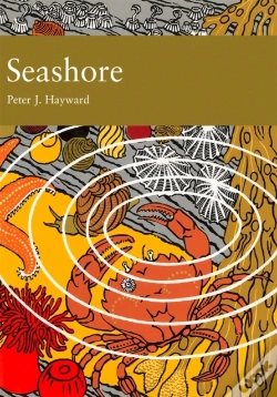 Capa do artigo Seashore