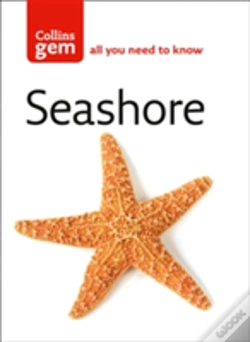 Capa do artigo Seashore