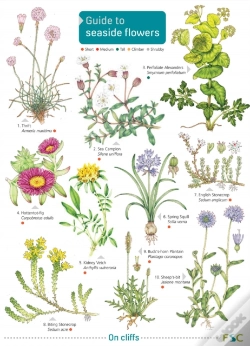 Capa do artigo Seaside Flowers