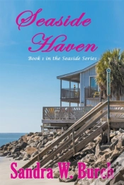 Capa do artigo Seaside Haven