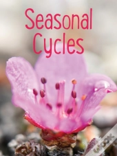 Seasonal Cycles