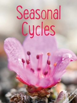 Capa do artigo Seasonal Cycles