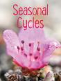 Seasonal Cycles - Preview