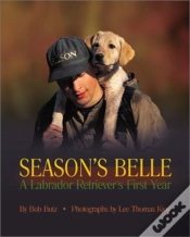 Capa do artigo Season