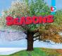 Seasons - Preview