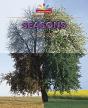 Seasons - Preview