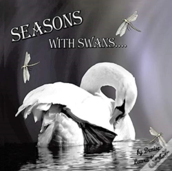 Capa do artigo Seasons With Swans