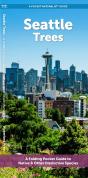 Seattle Trees - Preview