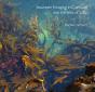 Seaweed Foraging In Cornwall And The Isles Of Scilly - Preview