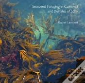 Capa do artigo Seaweed Foraging In Cornwall And The Isles Of Scilly