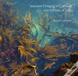 Capa do artigo Seaweed Foraging In Cornwall And The Isles Of Scilly