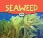 Seaweed - Preview