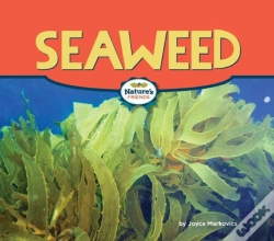 Capa do artigo Seaweed