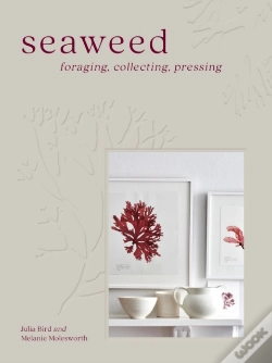 Capa do artigo Seaweed