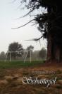 Sebastopol - Preview