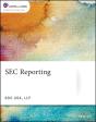Sec Reporting - Preview