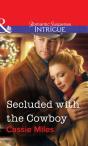Secluded With The Cowboy - Preview
