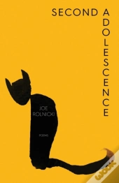 Second Adolescence