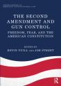 Second Amendment And Gun Control - Preview