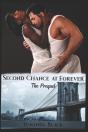 Second Chance At Forever - Preview