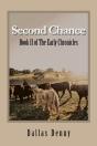 Second Chance - Preview