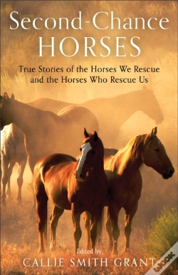 Capa do artigo Second-Chance Horses