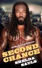 Second Chance - Preview