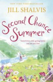 Capa do artigo Second Chance Summer