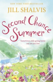 Capa do artigo Second Chance Summer