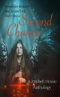 Second Chance - Preview