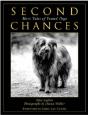 Second Chances - Preview
