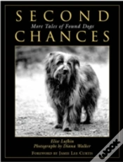 Capa do artigo Second Chances