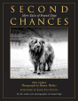 Second Chances - Preview