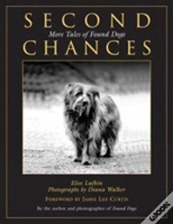 Capa do artigo Second Chances