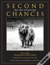 Capa do artigo Second Chances